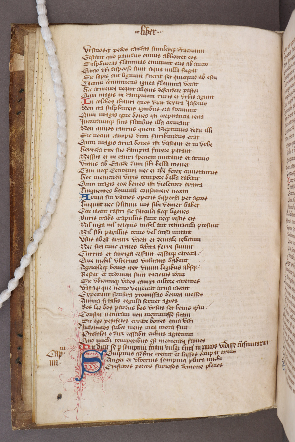 Folio 8 verso